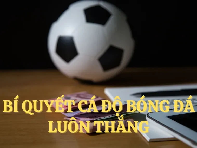 Tìm Hiểu Cá Cược Bóng Đá W88: Khám Phá Thế Giới Kèo Hấp Dẫn 2 Tìm Hiểu Cá Cược Bóng Đá W88: Khám Phá Thế Giới Kèo Hấp Dẫn