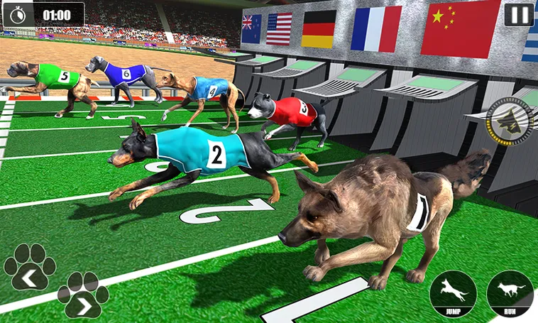 Hướng Dẫn Chơi Game Nhanh Đua Chó Tại W88 Hiệu Quả Nhất